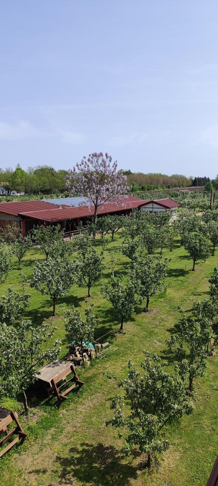 Salas Farma 47-Miris Dunja Cenej Dış mekan fotoğraf