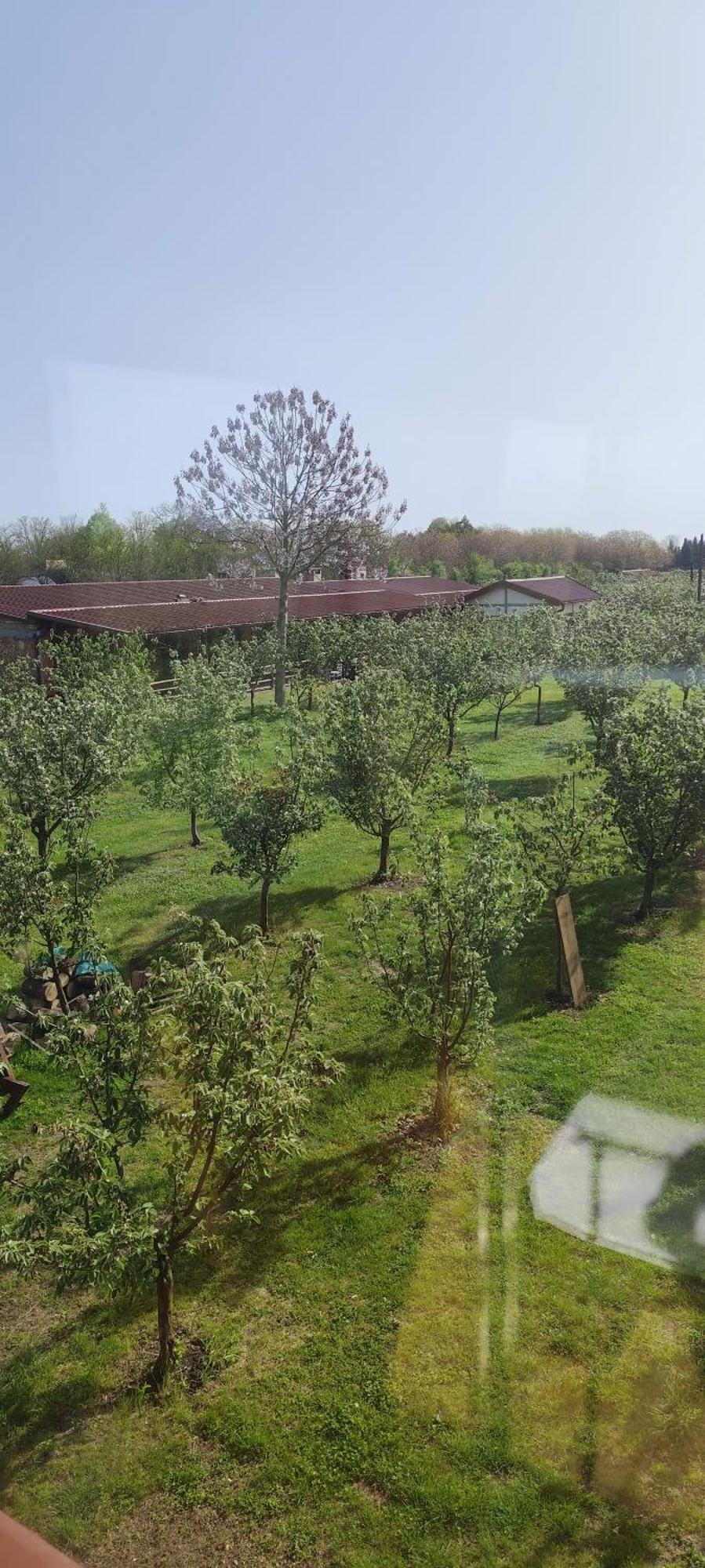 Salas Farma 47-Miris Dunja Cenej Dış mekan fotoğraf